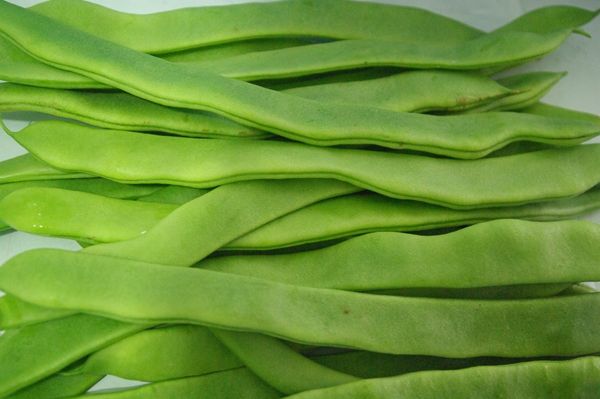 13种常见蔬菜的营养价值